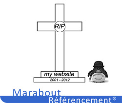 Google Pingouin : ou comment frapper fort !