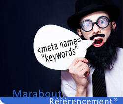 Balise Meta Keywords