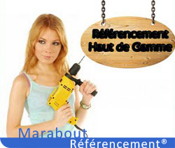 Le Référencement Haut de Gamme